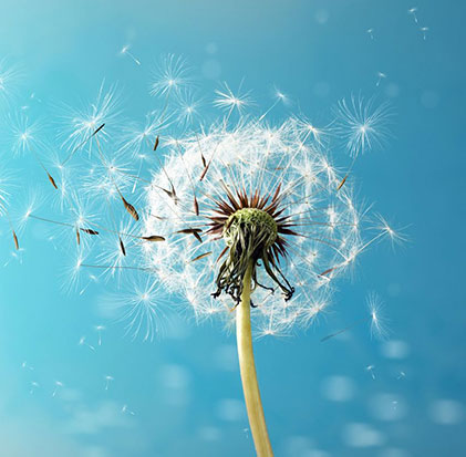 iStock_1394221769_Liudmila Chernetska iStock_1394221769_Liudmila Chernetska